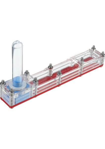 Mavi Stil Aktif Bölge ile Mini Cam Tüp Karınca Yuvası - Türkçe (Yurt Dışından) modelleri