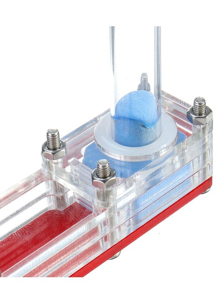 Mavi Stil Aktif Bölge ile Mini Cam Tüp Karınca Yuvası - Türkçe (Yurt Dışından) indirimleri