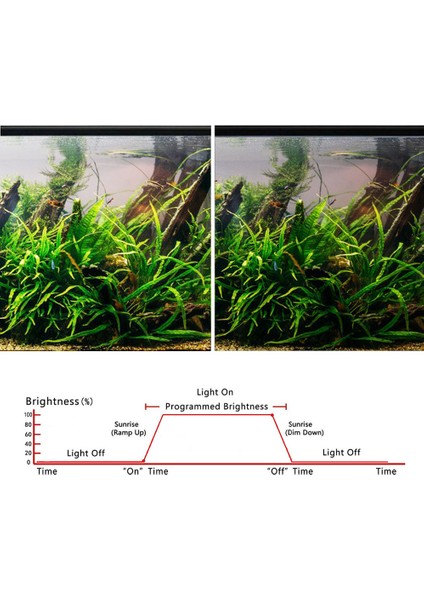 Siyah Stil Akvaryum LED Işık Dimmer Kontrol Cihazı Güneş Doğuşu Gün Batımı Modülatörü Için Akvaryum Balık Tankı LED Akıllı Işık Zamanlama Karartma Sistemi (Yurt Dışından) indirimleri