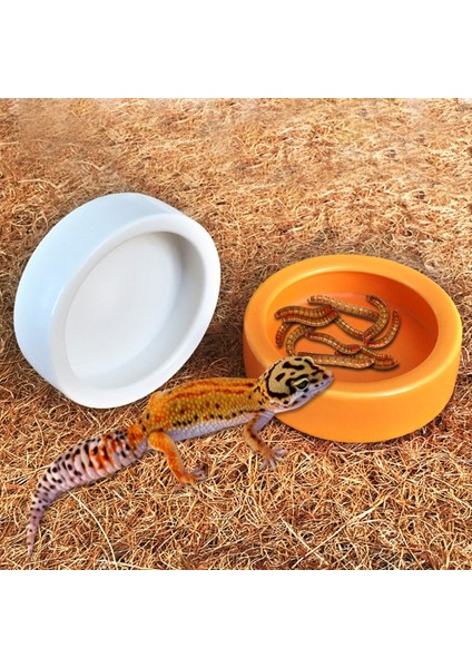 M-W Tarzı Sürüngen Yiyecek Kabı Kertenkele Gecko Yiyecek Su Kabı Pogona Yem Kabı Seramik Solucan Kabı Için Kertenkele Anolis (Yurt Dışından) modelleri