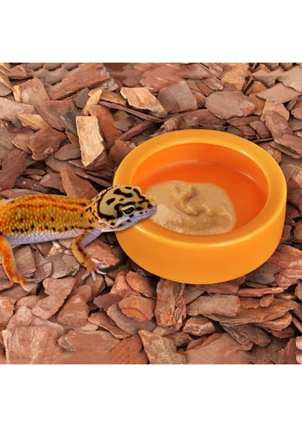 M-W Tarzı Sürüngen Yiyecek Kabı Kertenkele Gecko Yiyecek Su Kabı Pogona Yem Kabı Seramik Solucan Kabı Için Kertenkele Anolis (Yurt Dışından) indirimleri