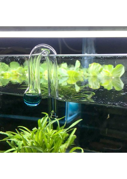 Yağmur Damlası Stili Tek Boyut Balık Tankı Co2 Difüz Cam Damla Kontrol Cihazı Co2 Monitörü Cam Damla Kontrol Cihazı Ph Uzun Süreli Gösterge Monitör Test Cihazı (Yurt Dışından)