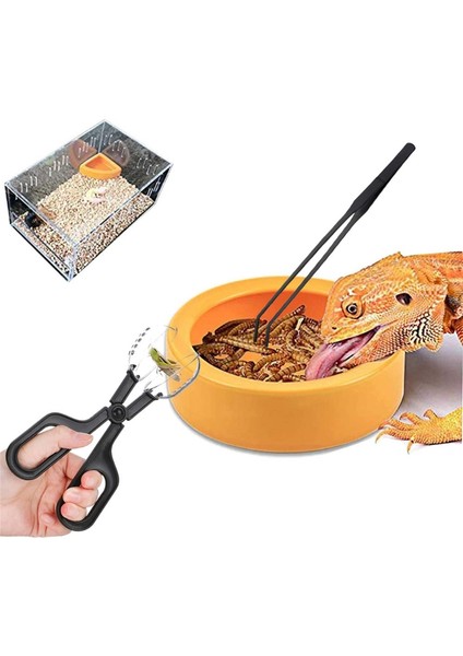 5 Parça Sürüngen Besleme Aracı Böcek Kavraması Cırcır Pensesi Kaçış Engelleme Solucan Kabı ve Maşa ile Akvaryumlar Yılanlar Keler Için (Yurt Dışından) fiyatları