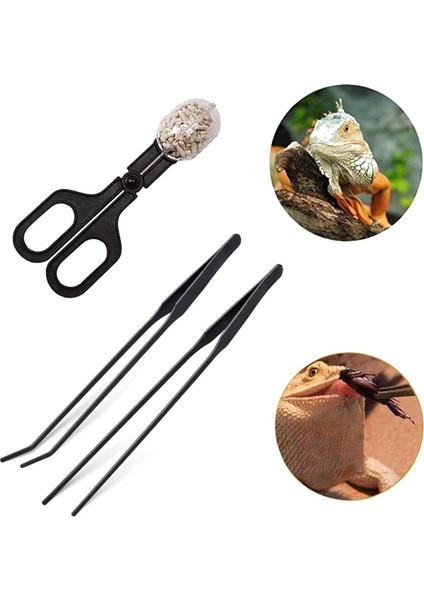 5 Parça Sürüngen Besleme Aracı Böcek Kavraması Cırcır Pensesi Kaçış Engelleme Solucan Kabı ve Maşa ile Akvaryumlar Yılanlar Keler Için (Yurt Dışından) fırsatları