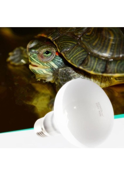 100W Tarzı E27 Uva Pet Isıtma Lambası Gündüz Gece Amfibi Kuş Yılan Güneşlenme Güneş Lambası Ampul Sıcaklık Sürüngen Işığı Gündüz Gece Ampulü (Yurt Dışından)