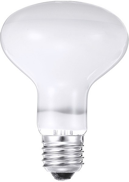 100W Tarzı E27 Uva Pet Isıtma Lambası Gündüz Gece Amfibi Kuş Yılan Güneşlenme Güneş Lambası Ampul Sıcaklık Sürüngen Işığı Gündüz Gece Ampulü (Yurt Dışından) fırsatları