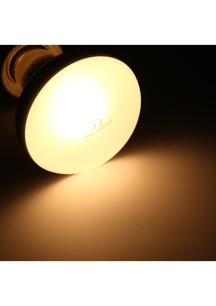100W Tarzı E27 Uva Pet Isıtma Lambası Gündüz Gece Amfibi Kuş Yılan Güneşlenme Güneş Lambası Ampul Sıcaklık Sürüngen Işığı Gündüz Gece Ampulü (Yurt Dışından) indirimleri