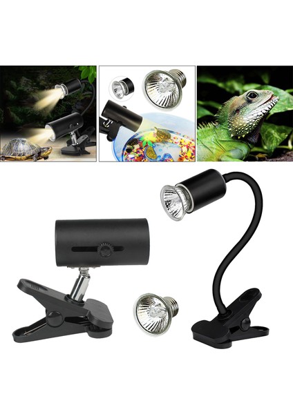 50W Ampuller Stili Kaplumbağa Isı Uva+Uvb Lamba Ampul Isıtma Işığı Tutucu Kelepçe Tutucu Akvaryum Kaplumbağa Kaplumbağalar Kertenkele Taban Kelepçe Kiti (Yurt Dışından)