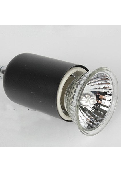50W Ampuller Stili Kaplumbağa Isı Uva+Uvb Lamba Ampul Isıtma Işığı Tutucu Kelepçe Tutucu Akvaryum Kaplumbağa Kaplumbağalar Kertenkele Taban Kelepçe Kiti (Yurt Dışından)