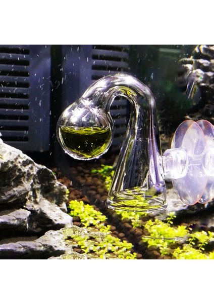 Yüksek Balık Tankı Su Canlı Yosun Bitki Akvaryum Notları Cam Co2 Damlalık Karbon Dioksit Ph Topu Uzun Süreli Gösterge (Yurt Dışından)