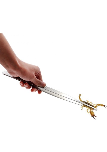Dirsek Stili 30CM Paslanmaz Çelik Sürüngen Maşası Uzun Maşa Düz ve Kıvrık Maşa Sürüngen Bakım Araçları Için Örümcekler Kertenkeleler Yılanlar Için Maşa (Yurt Dışından) fırsatları