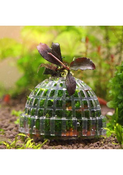 No.1 Tarzı Doğal Mineral Su Canlısı Yosun Topu Yosun Filtresi Akvaryum Kristal Kırmızı Karides Evi Balık Tankı Süs Mineraller Topu (Yurt Dışından)