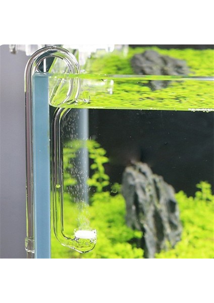 U Tarzı Nano Tanklar Için Yüksek Co2 Çözünürlük Oranına Sahip Cam Co2 Difüzörü U Şekilli R Şekilli (Yurt Dışından)
