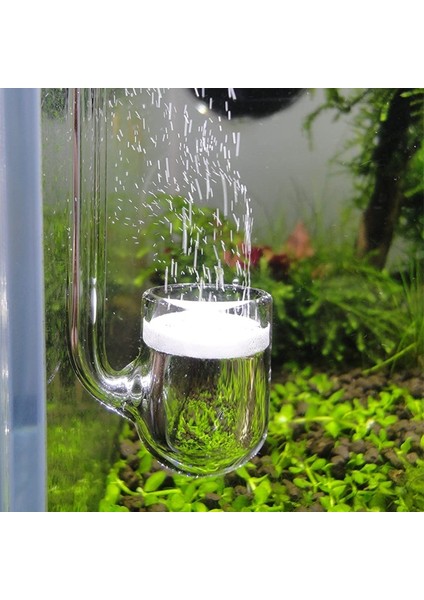 U Tarzı Nano Tanklar Için Yüksek Co2 Çözünürlük Oranına Sahip Cam Co2 Difüzörü U Şekilli R Şekilli (Yurt Dışından)