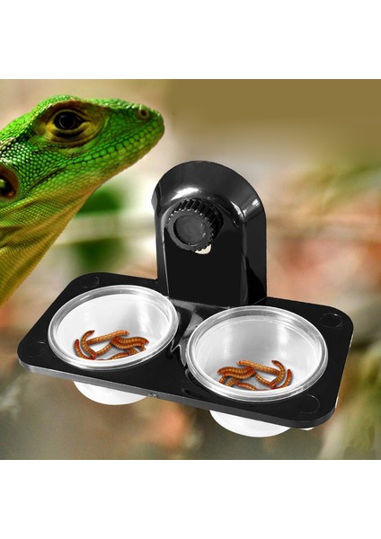 Çift Vantuz Stili Sürüngen Abs Sürüngen Tankı Yiyecek Su Kase Sabit Dayanıklı Terrarium Saksı Üreme Kutusu Tutucu Kap Ağırlığı (Yurt Dışından) modelleri