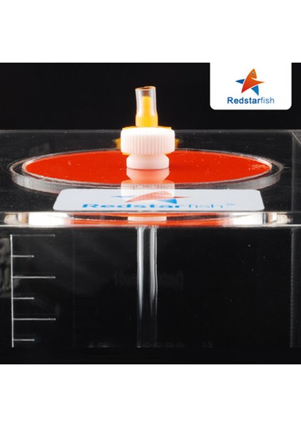 1.5l Tarzı Kırmızı Denizyıldızı Dozaj Pompası Ölçekli Sıvı Saklama Kovası 1.5l.5l.5l Litre Yüksek Akrilik Yapımı Mercan (Yurt Dışından) modelleri