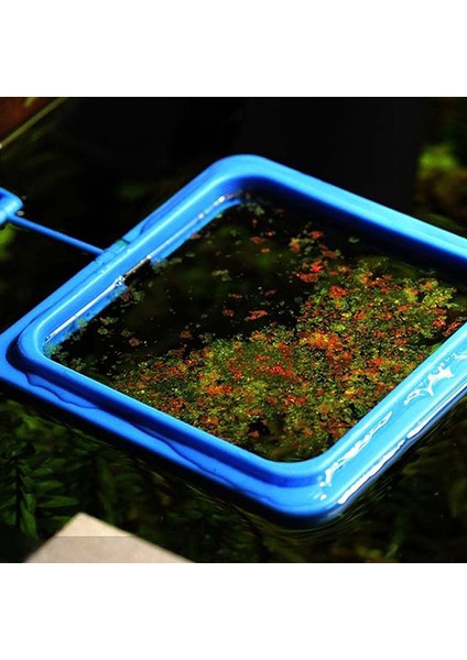 Mavi-Kare Stili Akvaryum Balık Tankı Kare Daire Halka Yem Istasyonu Yüzen Yiyecek - Turkish (Yurt Dışından) indirimleri