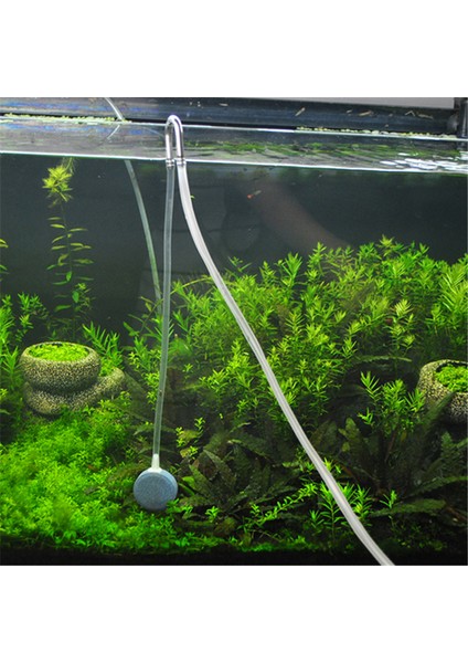 Resim Stili Olarak Balık Tankı Aksesuarları Için Paslanmaz Çelik U Şekilli Hava Tüpü Bağlantısı Co2 Difüzör Oksijen Pompası Sistemi (Yurt Dışından) fırsatları