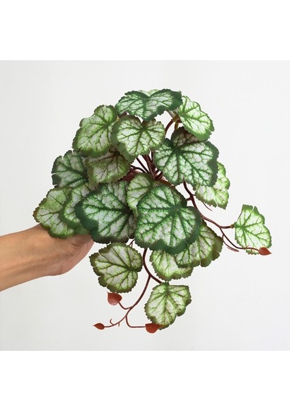 No.10 Tarzı Yapay Sürüngen Terraryum Bitkileri Gerçekçi Tropikal Yapraklar Tank Bitkisi Kertenkeleler Kaplumbağalar Ağaç Kurbağa Türlerine Uygun (Yurt Dışından) indirimleri