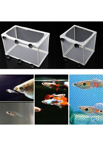 Gösterilen Stil Gibi S Beden Akvaryum Juppy Üreme Yavrulama Balık Bebek Tuzak Kutusu Izolatör Sl (Yurt Dışından) modelleri