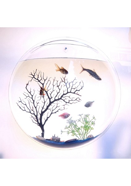 Şeffaf Stil 23CM Pinsjar Akrilik Balık Kasesi Duvara Asılan Akvaryum Tankı Su Ürünleri Duvara Monte Edilebilir Balık Tankı Betta Balığı Için (Yurt Dışından) indirimleri