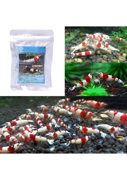 Tek Renk Stili M Beden Yeni 40G Kar Natto Karides Salyangoz Balık Yemi D Ding Için Akvaryum Balık Tankı Gölet (Yurt Dışından) modelleri