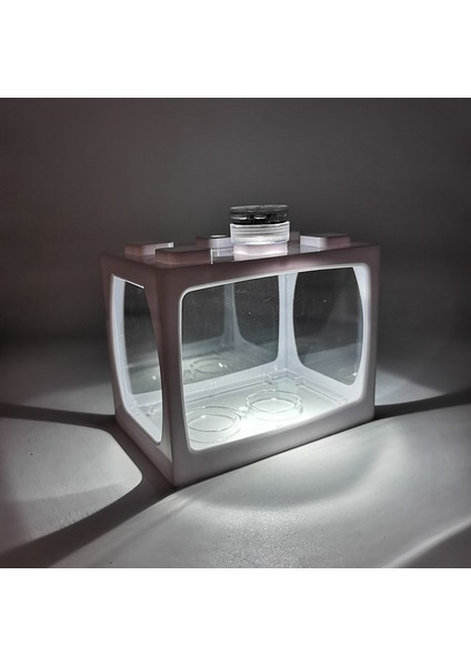 Beyaz Stil Yeşil Işık Lechong Mini Balık Tankı Işıklı Fişe Gerek Yok Küçük Dövüş Balığı Tankı Ev Ofis Koltuk Masaüstü Akvaryum Kaplumbağa Tankı (Yurt Dışından)