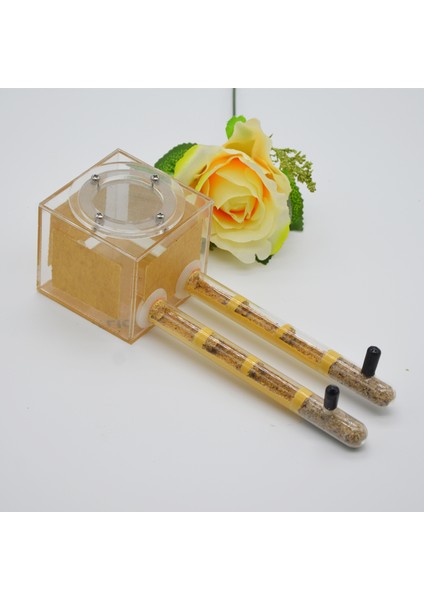 18X180 Sarı Stil Güzel Deneme Tüpü Karınca Yuvası Akrilik Karınca Çiftliği Bambu Tüp Küçük Evcil Hayvan Malzemeleri (Yurt Dışından)