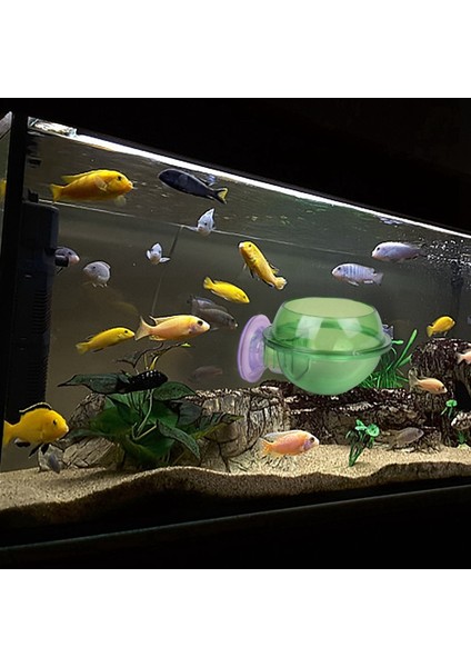 Balık ve Su Ürünleri Tedarik Yetiştirme Kupası Sucul Bitki Kupası Potu, Balık Tankı Aksesuarları Bitki Çayır Tutucuları Için Emiş Kupaları (Yurt Dışından)