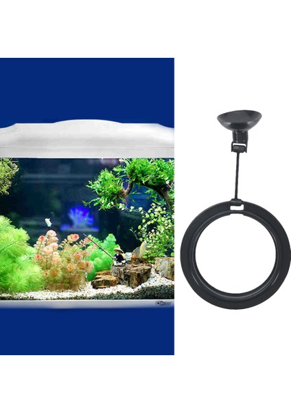 B Tarzı Balık Yüzük ile Emme Kupası Istasyonu Yem Tepsisi Su Bitkisi Sallanma Çemberi Guppy Betta Akvaryum Aksesuarları Için (Yurt Dışından)