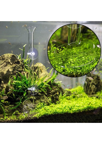 32CM Tarzı Akrilik Karides Yiyecek Tepsisi Akvaryum Balık Tankı Yem Borusu (Yurt Dışından) modelleri