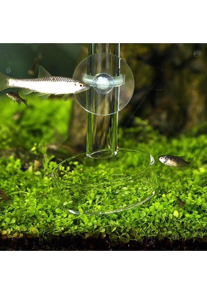 32CM Tarzı Akrilik Karides Yiyecek Tepsisi Akvaryum Balık Tankı Yem Borusu (Yurt Dışından) fırsatları