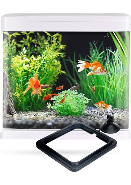 B Tarzı Balık Yüzük ile Emme Kupası Istasyonu Yem Tepsisi Su Bitkisi Sallanma Çemberi Guppy Betta Akvaryum Aksesuarları Için (Yurt Dışından) fırsatları