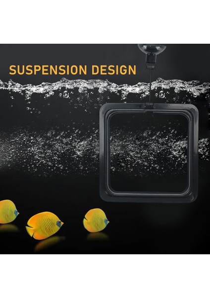 B Tarzı Balık Yüzük ile Emme Kupası Istasyonu Yem Tepsisi Su Bitkisi Sallanma Çemberi Guppy Betta Akvaryum Aksesuarları Için (Yurt Dışından) indirimleri