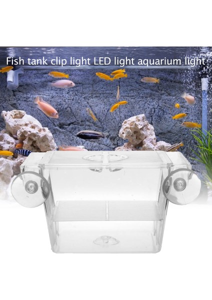 Bir Stil Akvaryum Balık Tankı Yavru Kutusu Üreme Şeffaf Akrilik Inkübatör Tutucu Akvaryum Balık Tankı Çift Yavru Inkübatörü (Yurt Dışından) modelleri