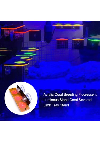 Turuncu Tarzı Balık Tankı Floresans Mercan Parça Rafı Akvaryum Resif Fiş Tutucu Standı Emiş Kupası Montaj Su Bitkisi Standı Aksesuarları (Yurt Dışından) fiyatları