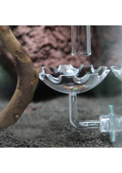 Şeffaf Stil Çap 6cm Akrilik Akvaryum Yem Kabı Frimps Balık Tankı Istasyonu Yiyecek Tepsisi Süngerli Akvaryum Aksesuarı (Yurt Dışından)