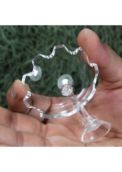 Şeffaf Stil Çap 6cm Akrilik Akvaryum Yem Kabı Frimps Balık Tankı Istasyonu Yiyecek Tepsisi Süngerli Akvaryum Aksesuarı (Yurt Dışından) fırsatları