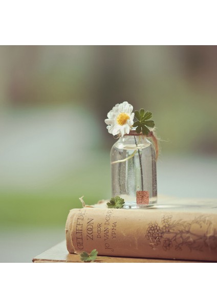 Rastgele Renk Stili Seramik Akvaryum Balık Filtre Halkası Su Bitkisi Sabitleme Halkası Balık Tankı Malzemeleri (Yurt Dışından) indirimleri