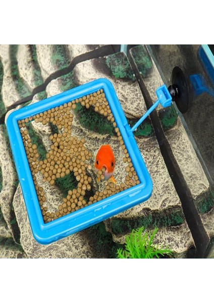 B Tarzı Resim Olarak Yeni Akvaryum Yemlik Balık Tankı Istasyonu Yüzen Yem Tepsisi Kare Çember Aksesuarı Su Bitkisi Batma Emme (Yurt Dışından) fırsatları