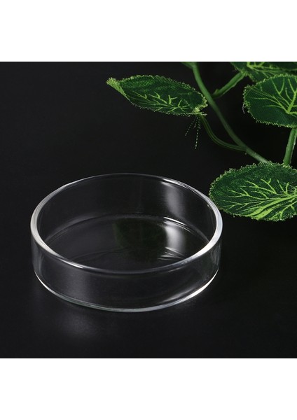 Gösteri Tarzı Olarak 1 Bilgisayar 1 Adet Şeffaf Cam Karides Yem Yuvarlak Tabak Küçük Balık Yem Kabı Süsleme Malzemeleri (Yurt Dışından) fiyatları