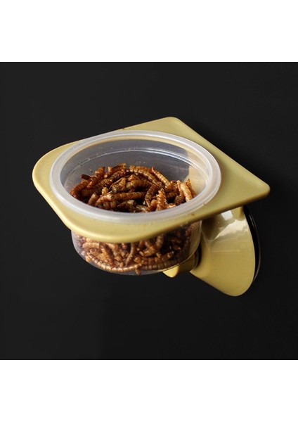 Tek Kutu Stili Emme Kupası Sürüngen Su Yem Duvar Asılı Kase Kase Örümcek Yetiştirme Kutusu Tank Kase Pot Malzemeleri (Yurt Dışından) modelleri