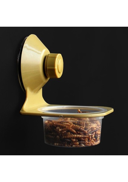Tek Kutu Stili Emme Kupası Sürüngen Su Yem Duvar Asılı Kase Kase Örümcek Yetiştirme Kutusu Tank Kase Pot Malzemeleri (Yurt Dışından) fırsatları