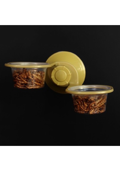 Tek Kutu Stili Emme Kupası Sürüngen Su Yem Duvar Asılı Kase Kase Örümcek Yetiştirme Kutusu Tank Kase Pot Malzemeleri (Yurt Dışından) indirimleri