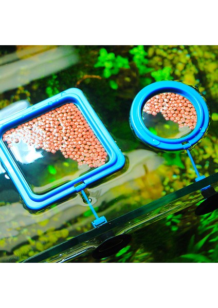 Mavi Kare Stili Akvaryum Balık Yemlik Yüzen Balık Tankı Besleme Istasyonu Yuvarlak Kare Balık Yem Tepsisi Emme Kupası ile Balık Tankı Aksesuarları (Yurt Dışından) fırsatları