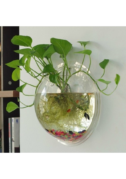 Stili Temizle 22,5 cm Akrilik Balık Kase Duvara Asılı Akvaryum Tankı Ev Dekorasyonu (Yurt Dışından) modelleri