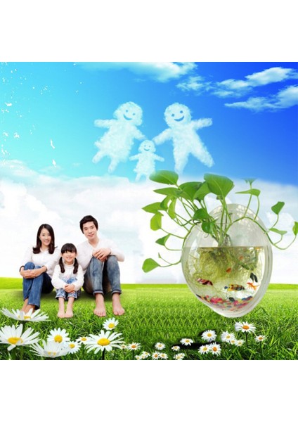 Stili Temizle 22,5 cm Akrilik Balık Kase Duvara Asılı Akvaryum Tankı Ev Dekorasyonu (Yurt Dışından) fırsatları