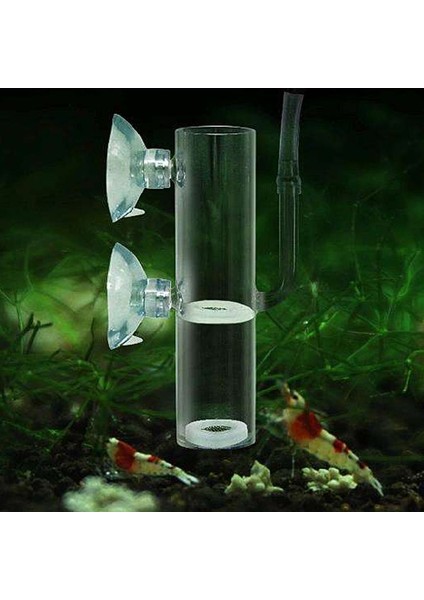 Beyaz Stil M Beden Akvaryum Büyük Yumurta Kuluçka Hava Pompalı Glaubator Balık Tankı Kristal Karides Döllenmiş Yumurta Kuluçka (Yurt Dışından)