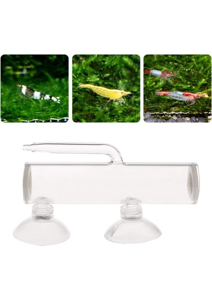 Beyaz Stil M Beden Akvaryum Büyük Yumurta Kuluçka Hava Pompalı Glaubator Balık Tankı Kristal Karides Döllenmiş Yumurta Kuluçka (Yurt Dışından) indirimleri