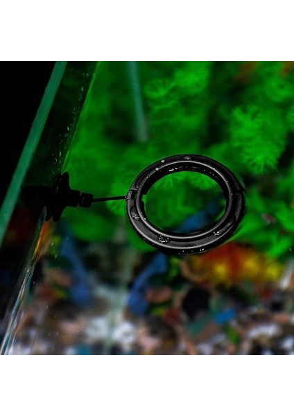 C Stili Balık Dondurma Akvaryum Balık Tankı Halka Istasyon Yüzen Yiyecek Su Bitkisi Batıklık Çember Yiyecek Sürüklenmesini Önleyin (Yurt Dışından) indirimleri